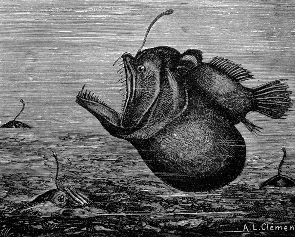 Poema Miguel Pedroza