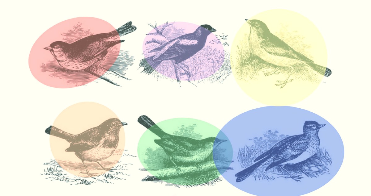 Relato - Dorte Jansen