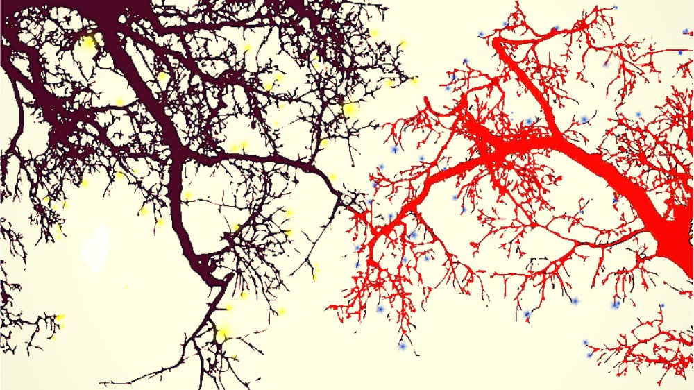 Relato - Dorte Jansen