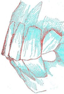 Clyo Mendoza - Poemas