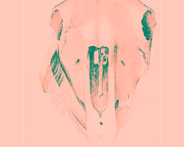 Clyo Mendoza - poemas