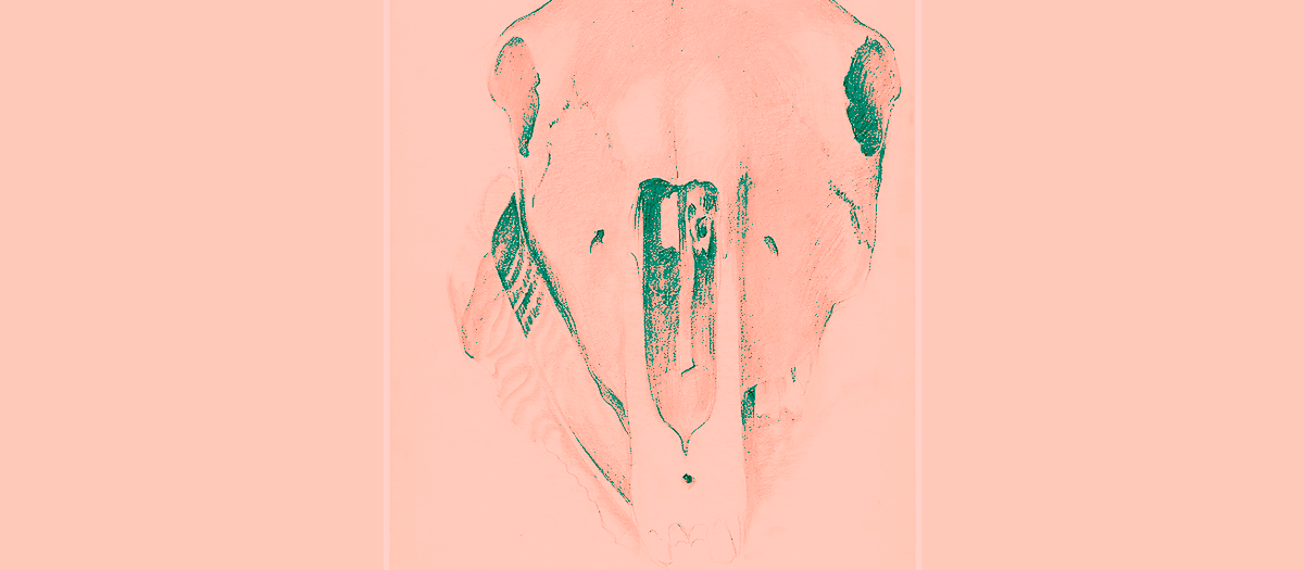 Clyo Mendoza - poemas