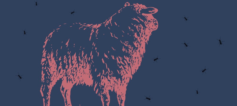 Roselbet Toledo Mayoral - Poemas