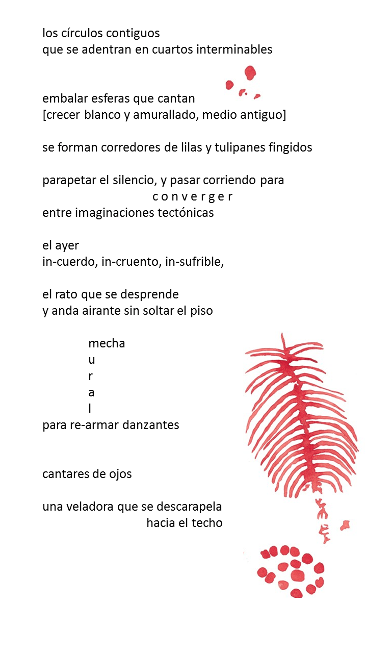 Cripta - Aldo Vicencio