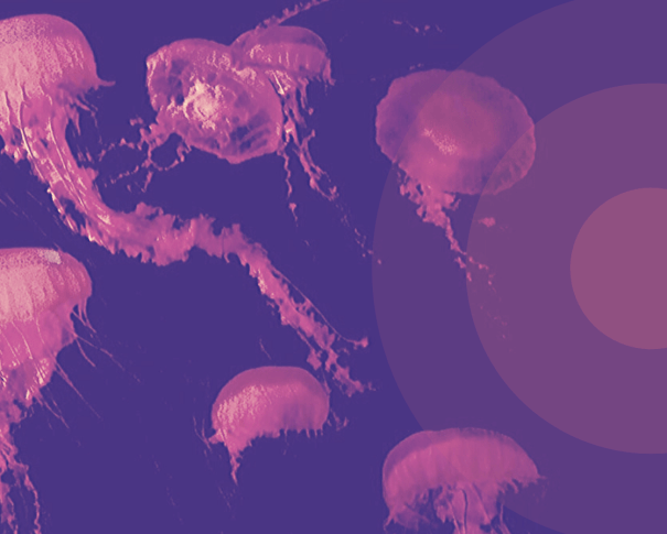 Mateo Mansilla Moya - Literatura