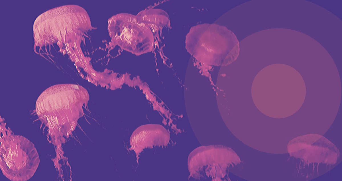 Mateo Mansilla Moya - Literatura