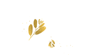 Laura Sofía Rivero ensayo 3