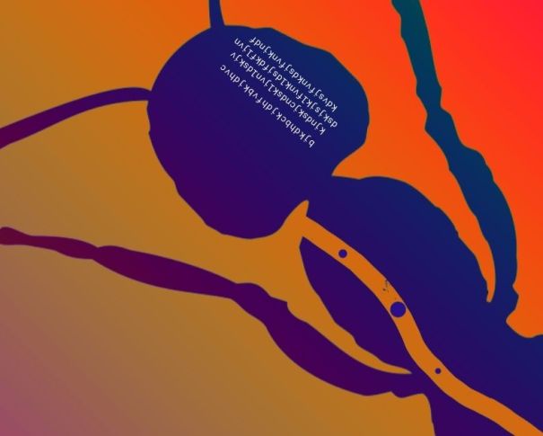 Giselle Lucía - Poemas