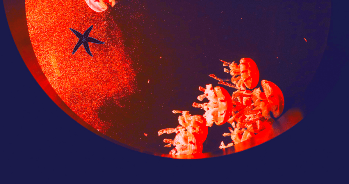 Selene Flores - poemas